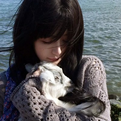 神犬小七第一季